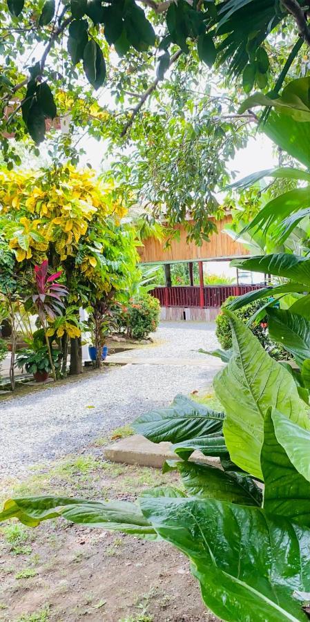 Hospedaje Quepos Exterior foto